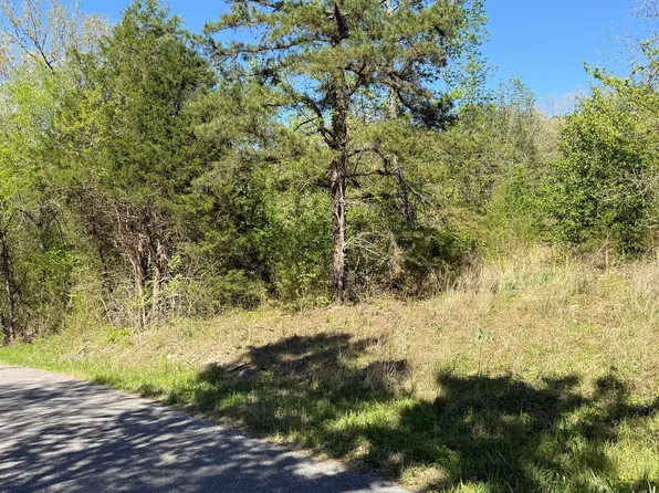 (undisclosed Address), Mountain View, AR 72560