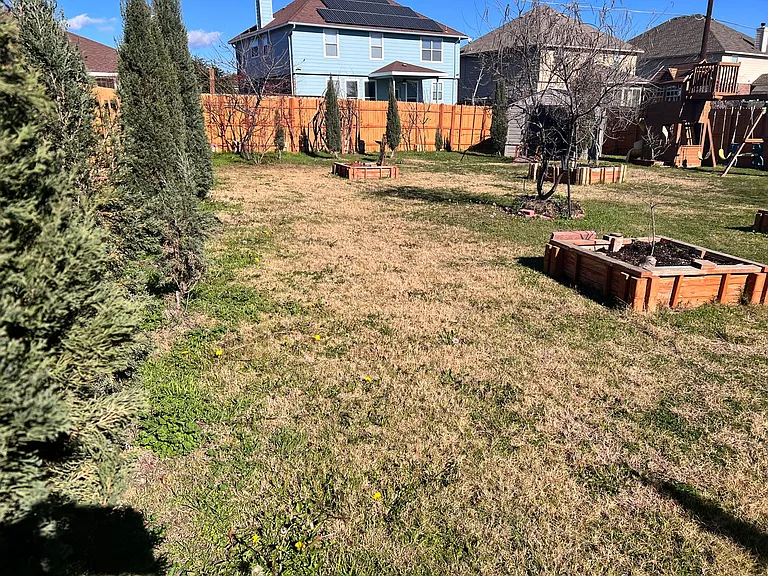 849 Olive Ln — Photo 18
