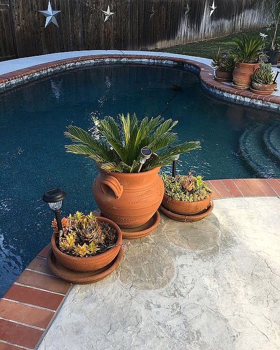 New pool built in 2019