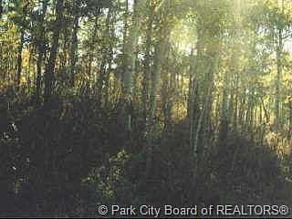 1st image of 125 Aspen Mountain