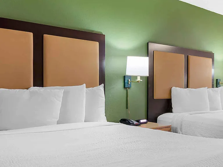 Studio Suite - 2 Full Beds