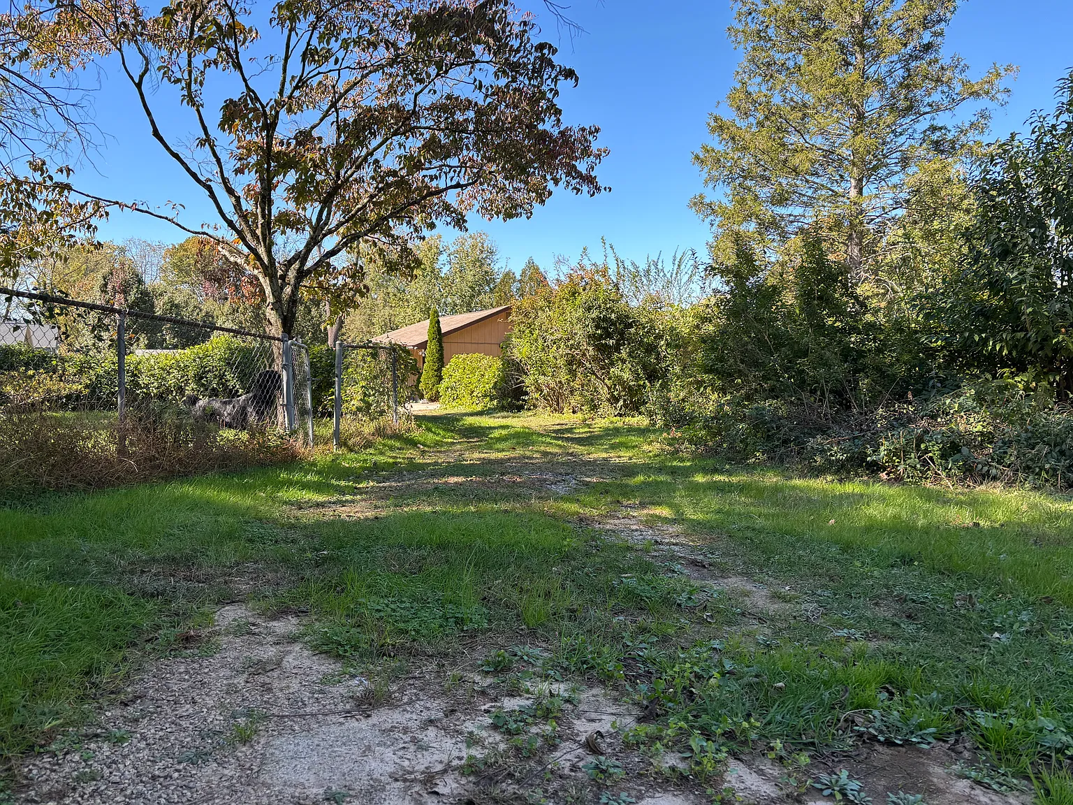 1 bed, 750 sqft, $1,500 — Photo 2