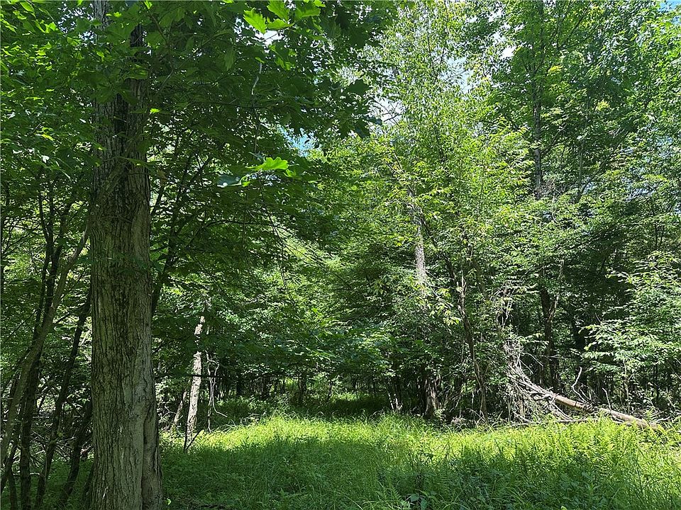 1st image of 0 Cooperstown Rd