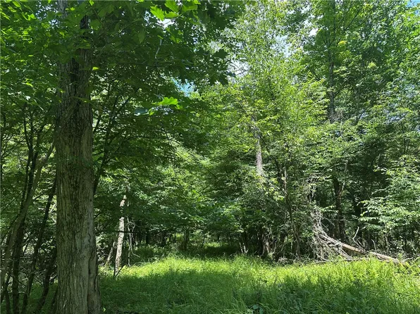 0 Cooperstown Rd, Franklin, PA 16323