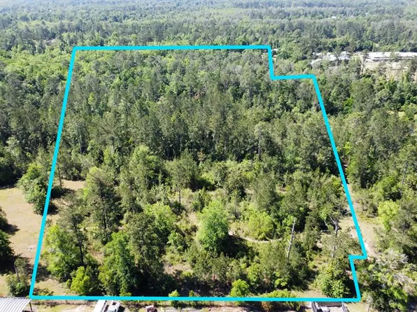 E River Rd, Wewahitchka, FL 32465