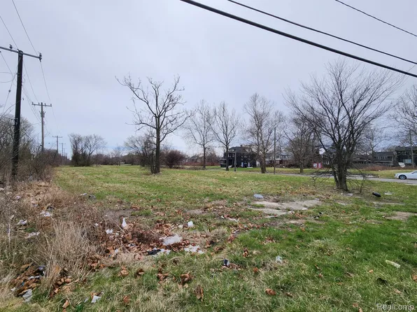 958 Kitchener St, Detroit, MI 48215