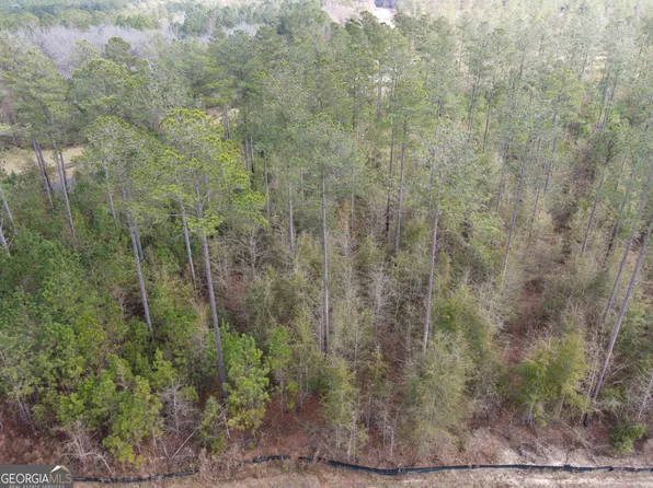 0 E Lake Dr Lot 1, Statesboro, GA 30458