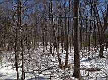 3rd image of 18 Woodland Dr