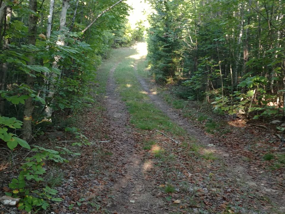 Roads and trails throughout.
