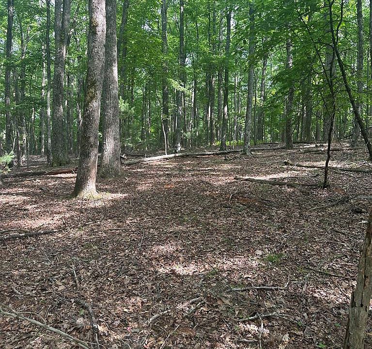 1st image of Tbd Forest Green Dr