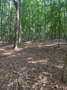 Tbd Forest Green Dr, Galax, VA, 24333