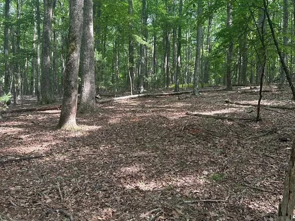 Tbd Forest Green Dr, Galax, VA 24333