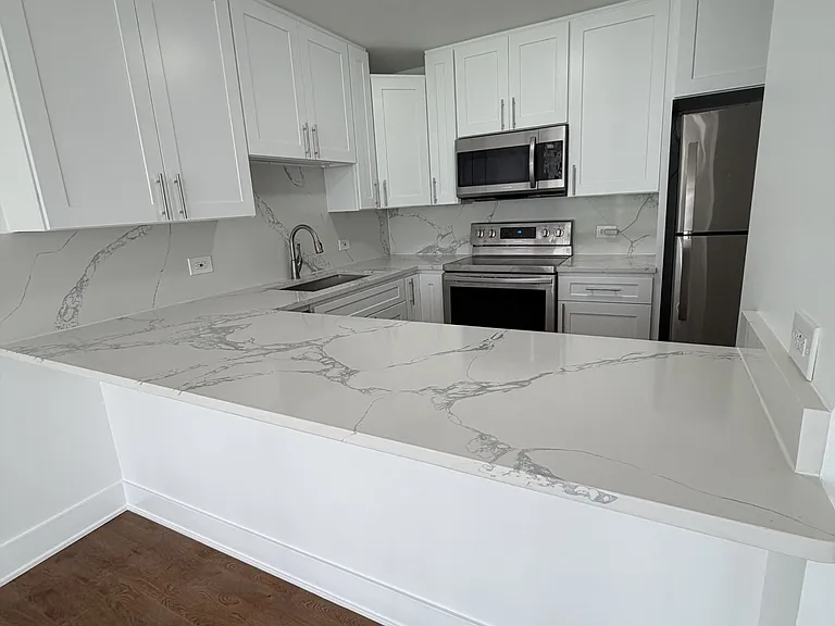 1540 N Lasalle St #403 — Photo 9