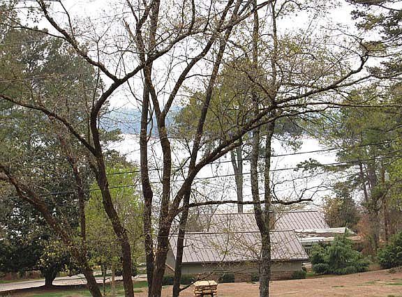 View from the huge deck overlooking the gardens.