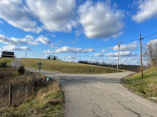 1208 Tea Run Rd, Ewing, KY 41039