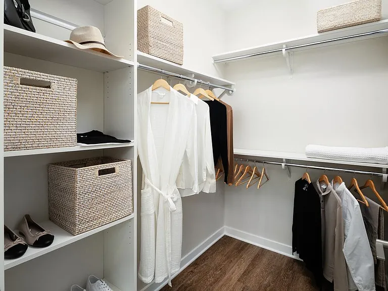 Design Collection II Spacious walk-in closet with built-in shelfing (Representative photo)