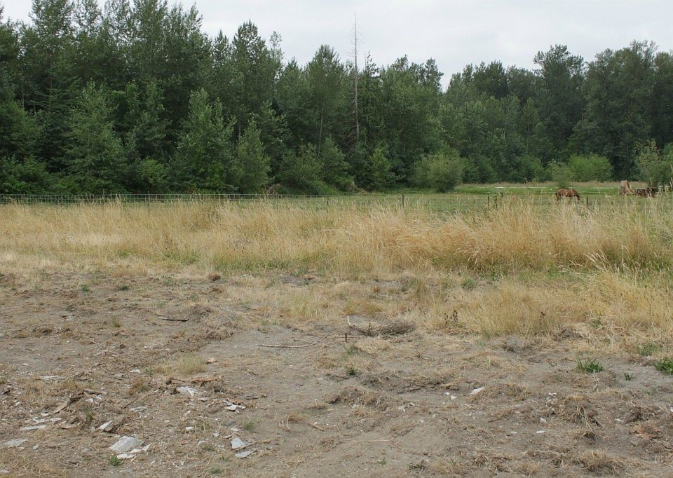 1st image of 9807 40th Ave E
