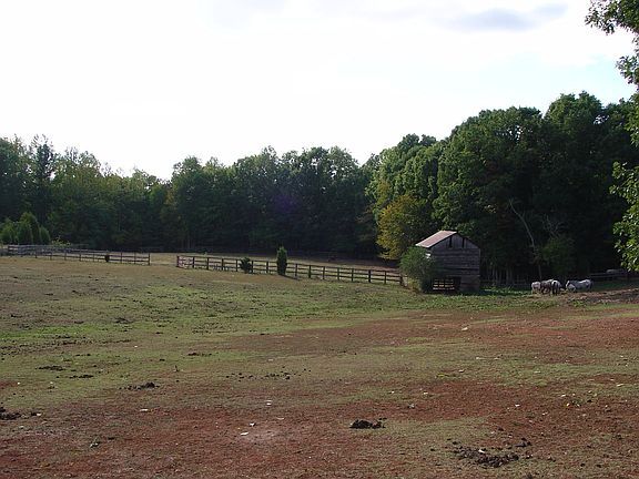  4 Wood fenced Paddocks