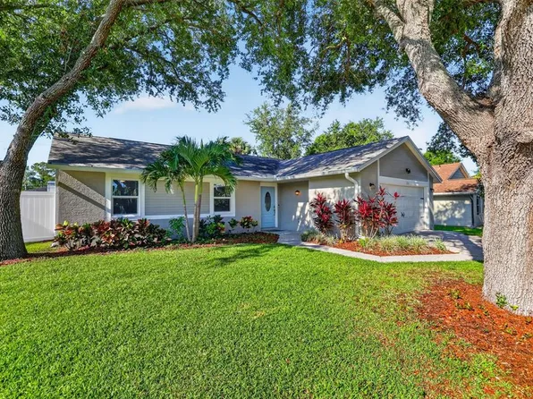 1356 Noell Blvd, Palm Harbor, FL 34683