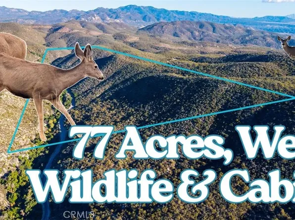 28618 Chihuahua Valley Rd, Warner Springs, CA 92086