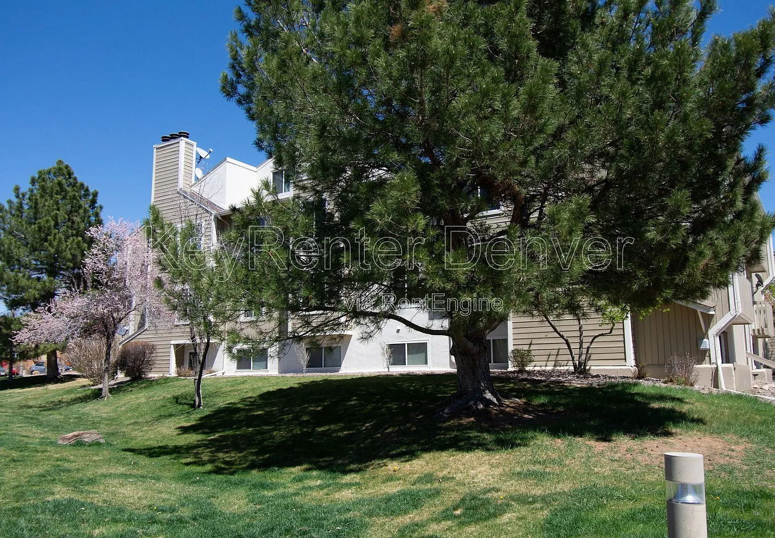 3 bed, 1.0 bath, 1276 sqft, $1,575 — Photo 2