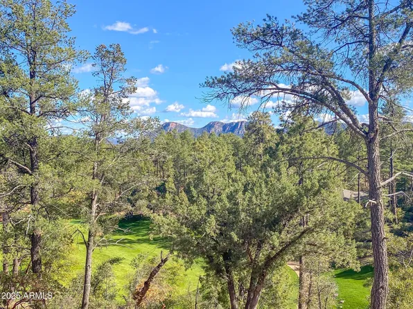 509 N GRAPEVINE Drive #436, Payson, AZ 85541