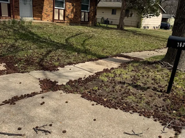 763 Laredo Ave, Saint Louis, MO 63138