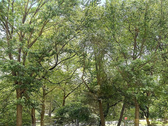 2nd image of 101 Central Park W #2DE