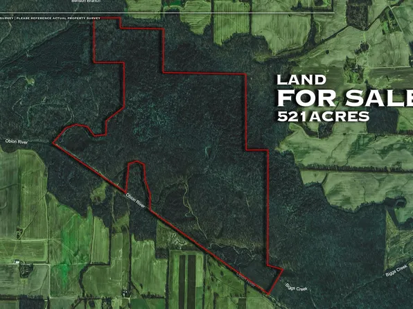 0 Austin Springs Rd, Palmersville, TN 38241