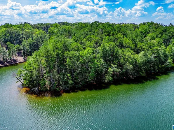 County Road 247 #0, Wedowee, AL 36278