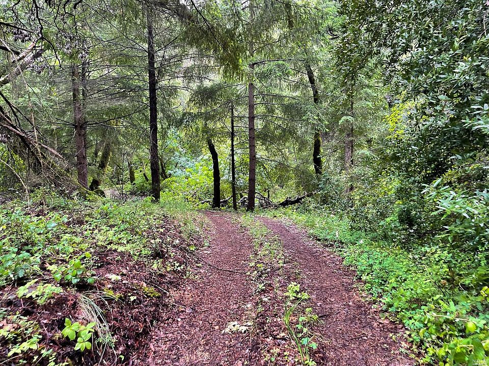 32994120 Vigilante Rd, Glen Ellen, CA 95442 MLS 323026065 Zillow