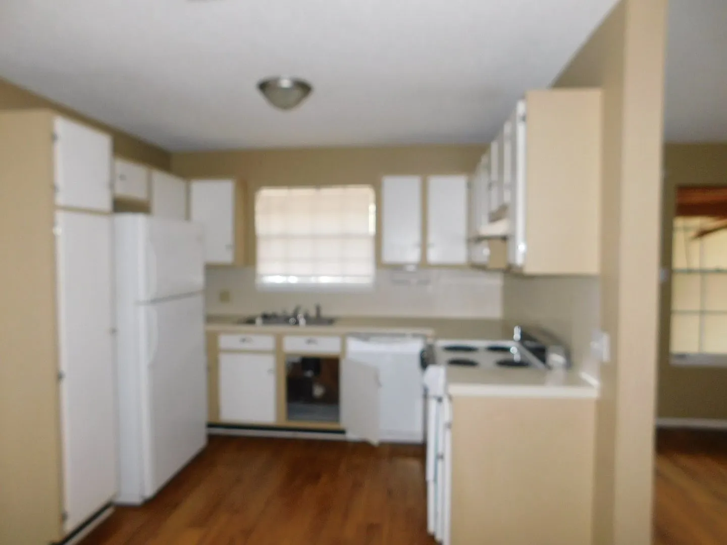 H.Chung Properties2 (8705 Piney Point Dr) — Photo 4