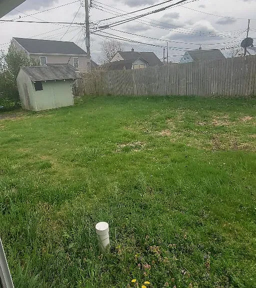 back yard
