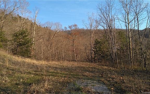 4th image of 317 Carolina Hills Dr
