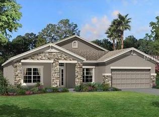 8207 Bluevine Sky Dr, Land O Lakes, FL 34637
