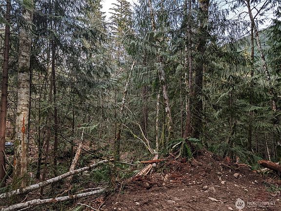 4th image of 64062 Cascade River RD