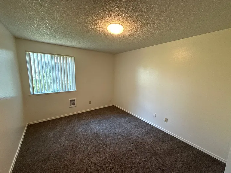 The Firs Apartments — Photo 24