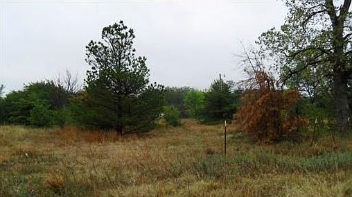 2nd image of 2112 County Road 1249