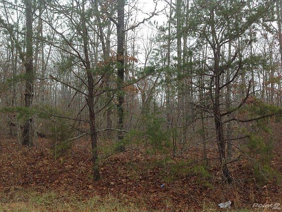 2nd image of Burk Dr