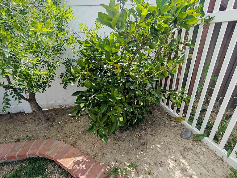20239 Damietta Dr — Photo 29