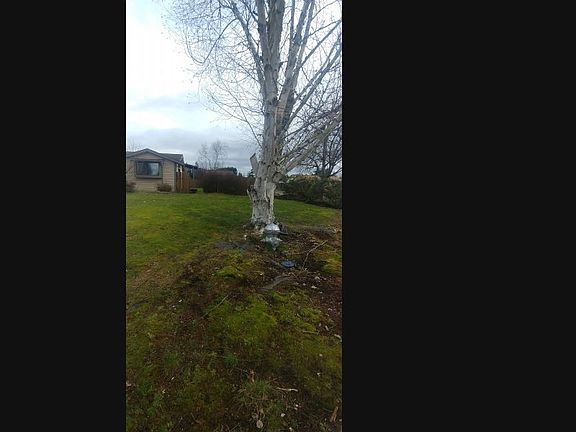 2nd image of 21615 49th Avenue Ct E