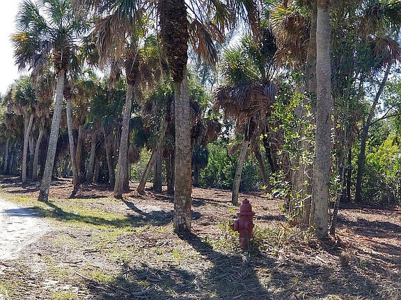 5th image of 6030 Sabal Palm Dr