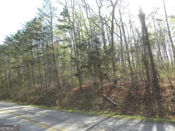 1323 Seven Forks Rd, Martin, GA 30557