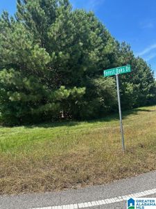 10563 Chelsea Rd #1, Chelsea, AL, 35043