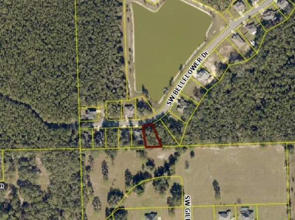 593 SW BELLFLOWER DRIVE, LAKE CITY, FL 32024