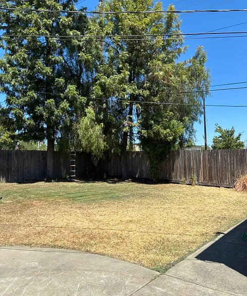 2400 Watson St — Photo 3