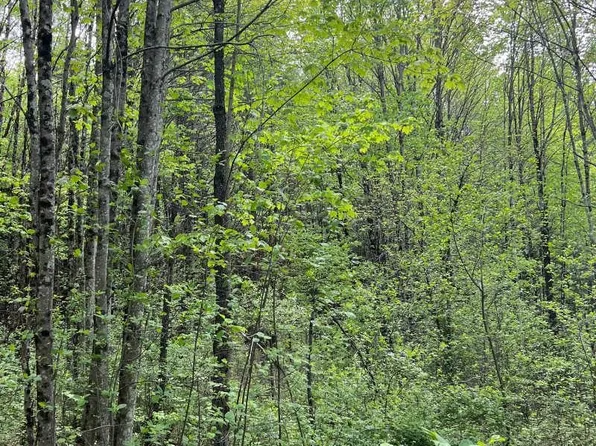 0 Old Walpole Road, Keene, NH 03431