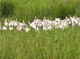 187 Golden Oaks Rd, Zolfo Springs, FL 33890