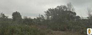 2nd image of 2504 W Perry Rd