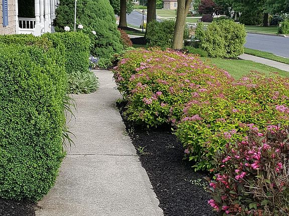 Walk way to Front Porch